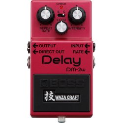 Boss DM-2w Delay